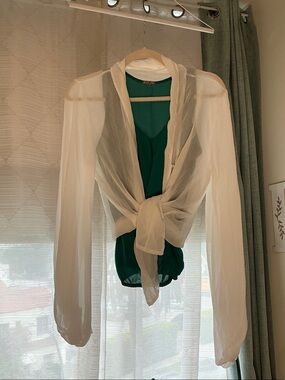 Sheer White Button Down Blouse